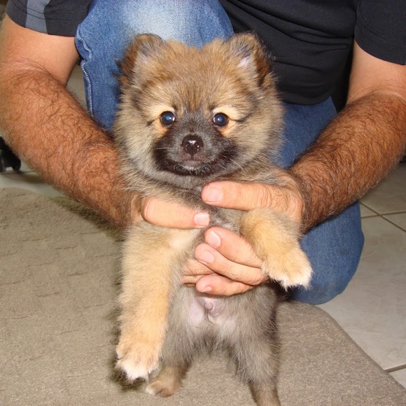 Meet your Posher, Donna - Picture 1 of 1